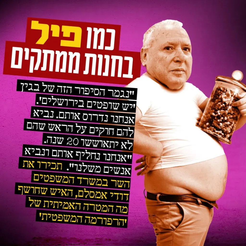 אמסלם - כמו פיל בחנות ממתקים