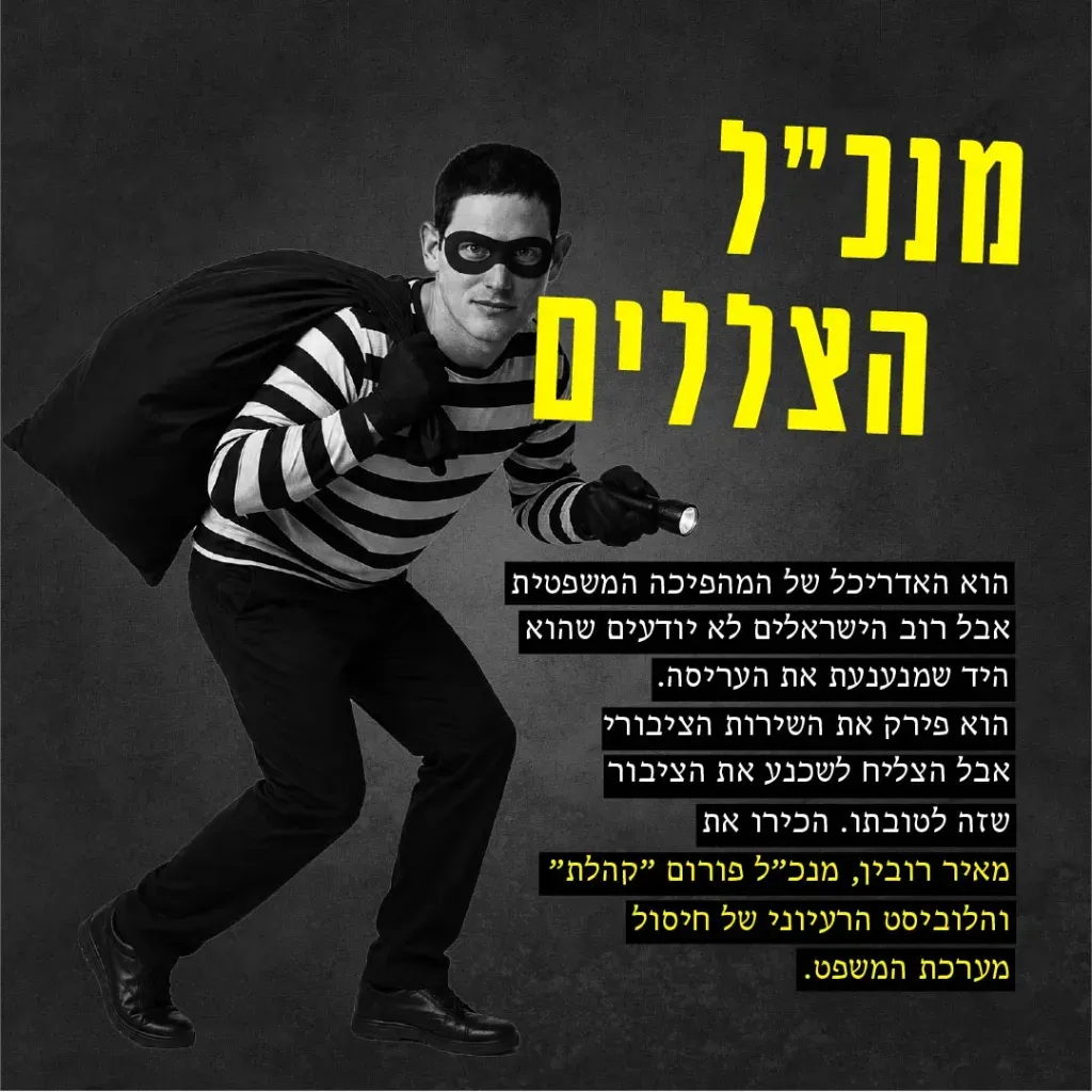 מאיר רובין - מנכ"ל הצללים