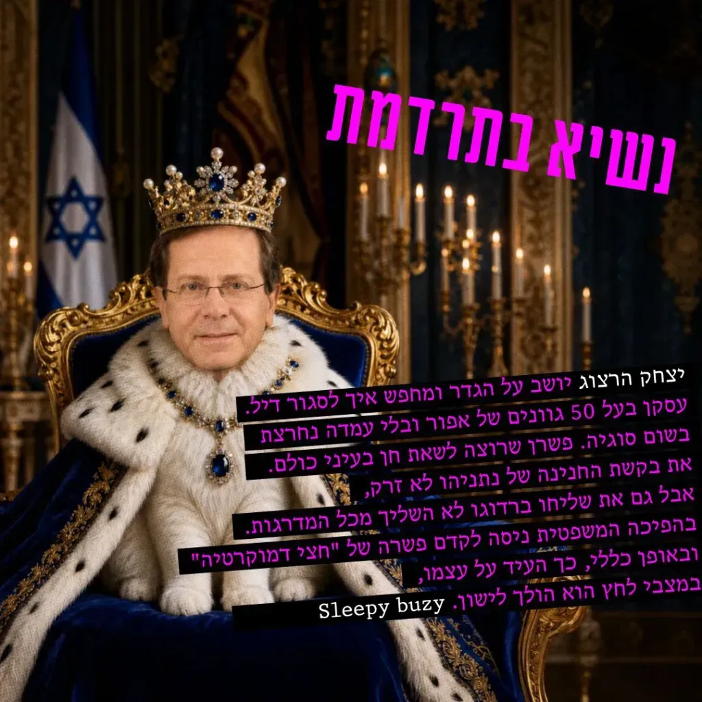 יצחק הרצוג - נשיא בתרדמת